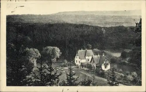 Ak Niedernhausen im Taunus Hessen, Forsthaus Vom Hügel