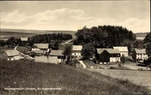 Ak Hartmannsdorf Reichenau im Erzgebirge, Teilansicht