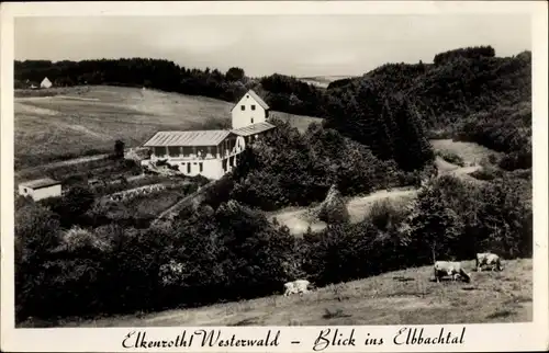 Ak Elkenroth im Westerwald, Blick ins Elbbachtal, Rinder, Kaufhaus Hüsch