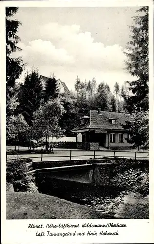 Ak Wildemann Clausthal Zellerfeld im Oberharz, Cafe Tannengrund mit Haus Hoheneck