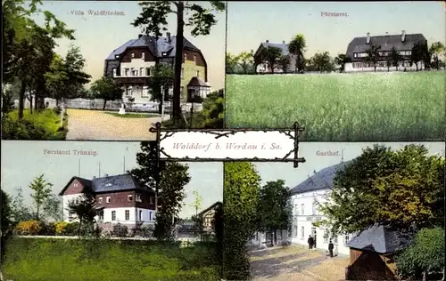 Ak Walddorf bei Werdau Langenbernsdorf in Sachsen, Försterei, Forstamt Trünzig, Gasthof, Waldfrieden