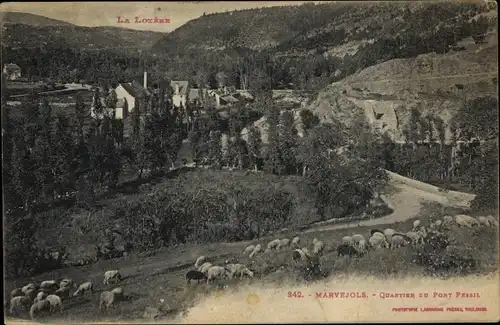 Ak Marvejols Lozere, Quartier du Pont Pessil