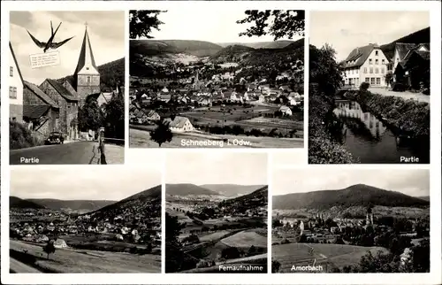 Ak Schneeberg im Odenwald, Gesamtansicht, Partie, Fernaufnahme, Amorbach