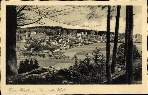 Ak Hartha in Sachsen, Gesamtansicht