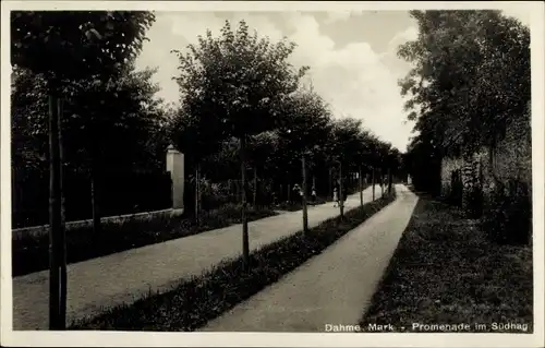 Ak Dahme in der Mark, Promenade im Südhag
