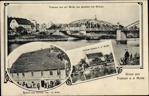 Ak Trebsen an der Mulde Sachsen, Schloss, Gasthof zum Schwan, Brücke, Blick auf den Ort