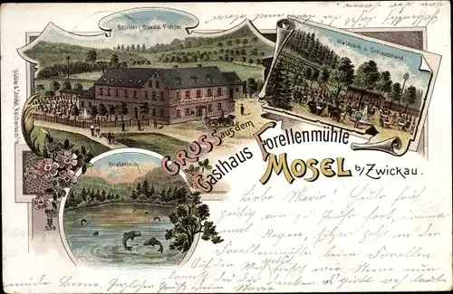Litho Mosel Zwickau in Sachsen, Gasthaus Forellenmühle, Waldpark, Schießstand
