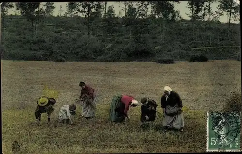Ak Landfrauen und Kinder auf einem gemähten Feld