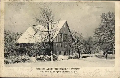 Ak Hahnenklee Bockswiese Goslar, Berggasthaus Auerhahn, Winter