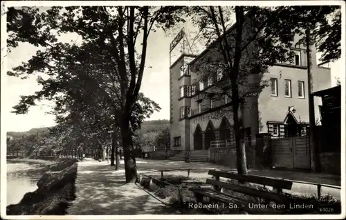 Ak Roßwein in Sachsen, Unter den Linden