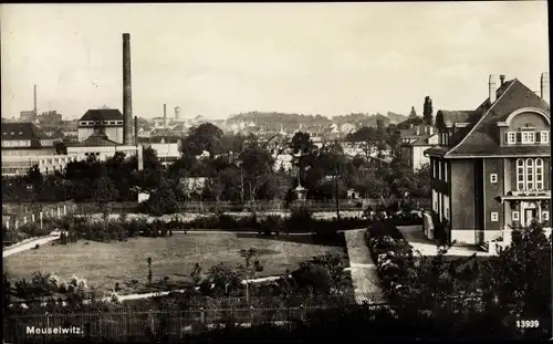 Ak Meuselwitz in Thüringen, Blick auf den Ort