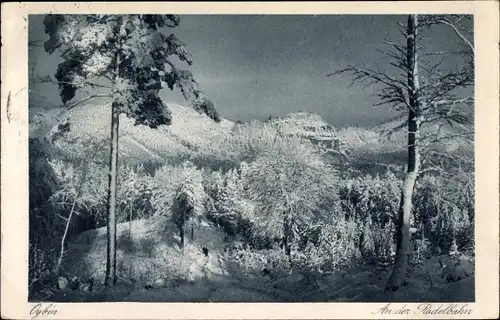 Ak Oybin in der Oberlausitz, Rodelbahn, Winterpartie