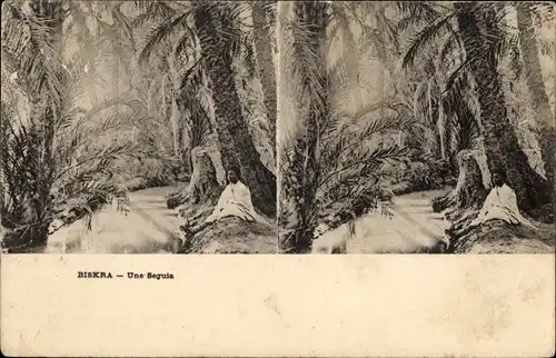 Stereo Ak Biskra Algerien, Une Seguia