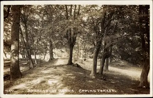 Ak Ambresbury Banks Essex, Epping Forest