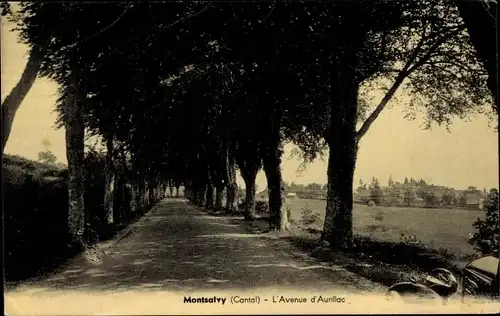 Ak Montsalvy Cantal, L'Avenue d'Aurilloc