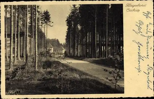 Ak Oschatz Nordsachsen, Blick zum Fliegerhorst, Straße im Wald, Feldpost