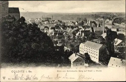 Ak Colditz in Sachsen, Blick von Schlobachs Berg auf Stadt und Mulde