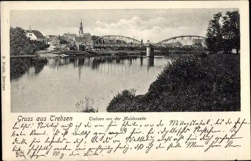 Ak Trebsen an der Mulde Sachsen, Blick über die Mulde auf Brücke und Ort