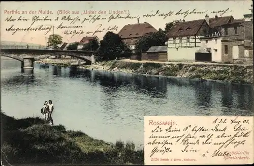 Ak Roßwein in Sachsen, Muldepartie, Blick aus Unter den Linden