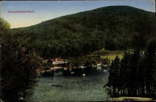 Ak Nordhausen am Harz, Wiesenbekerteich