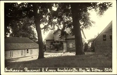 Foto Ak Hamfelde in Lauenburg, Gasthaus und Pensionat Waldeslust