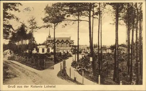 Ak Lobetal Bernau bei Berlin, Straßenpartie in der Kolonie