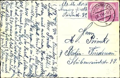 Ak  Pinneberg in Holstein, Rosengarten