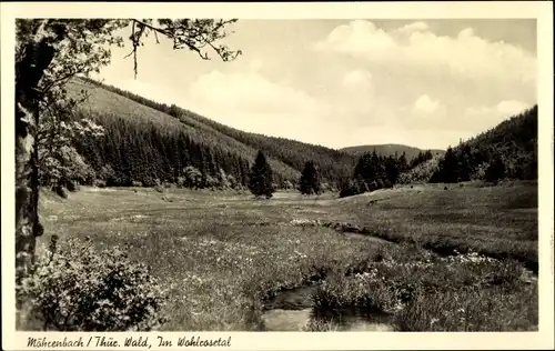 Ak Möhrenbach Thüringer Wald, Landschaft im Wohlrosetal