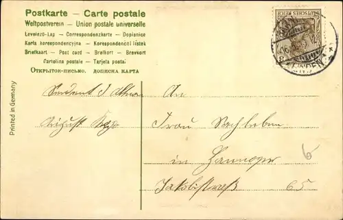 Litho Glückwunsch Pfingsten, Birke, Landschaft, Maikäfer