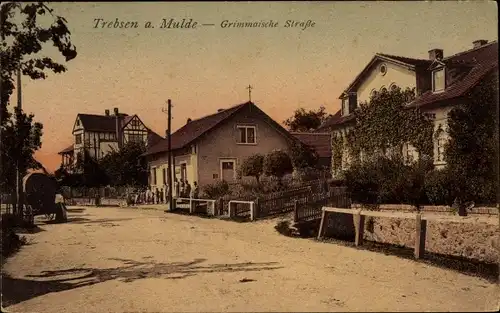 Ak Trebsen an der Mulde Sachsen, Grimmaische Straße