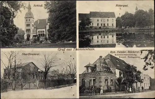 Ak Thammenhain Lossatal in Sachsen, Schloss, Rittergut, Oberförsterei, Bäckerei Rob. Feinler