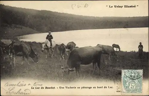 Ak Le Velay Illustre, le Lac du Bouchet, une Vacherie au paturage