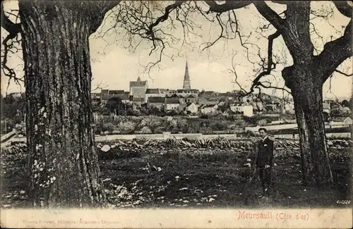Ak Meursault Cote d'Or, Vue générale