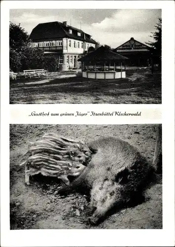 Ak Itzenbüttel Jesteburg in Niedersachsen, Gasthof zum grünen Jäger, Bache mit Frischlingen