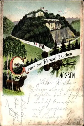 Ak Nossen Landkreis Meißen, Gasthaus Bergschlösschen