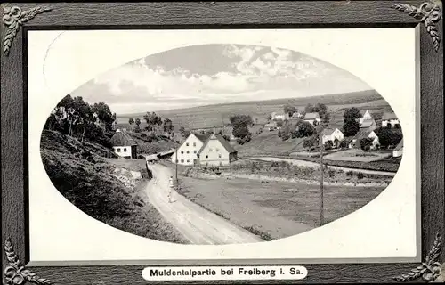 Präge Studentika Ak Freiberg in Sachsen, Teilansicht, Häuser, Weg