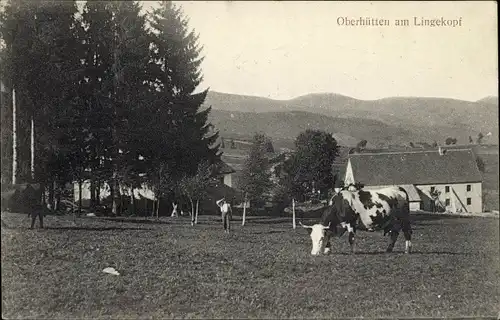 Ak Elsass Haut Rhin, Oberhütten am Lingekopf, Kuhweide