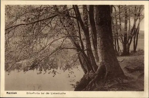 Ak Reinbek in Schleswig Holstein, Bille Partie bei der Liebesbuche