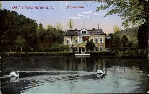 Ak Bad Freienwalde an der Oder, Papenmühle, Teichpartie, Schwäne