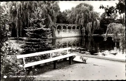 Ak Uetersen in Schleswig Holstein, Rosarium