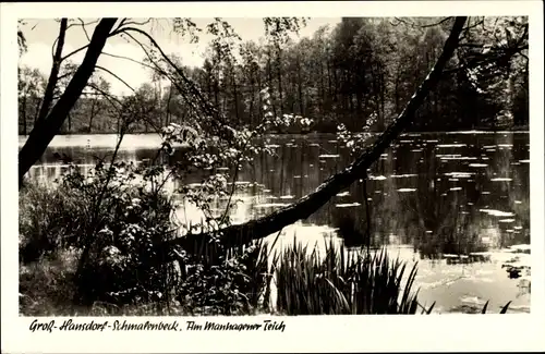 Ak Schmalenbeck Großhansdorf in Schleswig Holstein, Partie am Manhagener Teich