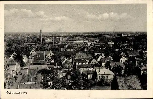 Ak Delmenhorst in Oldenburg, Ortsübersicht