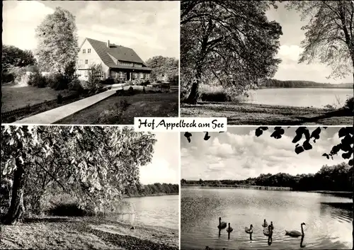 Ak Moisburg in Niedersachsen, Hof Appelbeck am See, Gasthof, Inh. Gertrud Vollmers