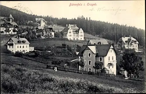 Ak Bärenfels Altenberg im Erzgebirge, Blick auf den Ort