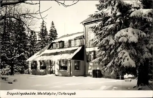 Ak Bärenburg Altenberg im Erzgebirge, Erzgebirgsbaude im Winter