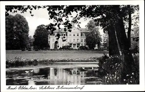 Ak Bad Oldesloe in Schleswig Holstein, Blick zum Schloss Blumendorf, Teich