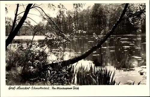 Ak Schmalenbeck Großhansdorf in Schleswig Holstein, Am Manhagener Teich