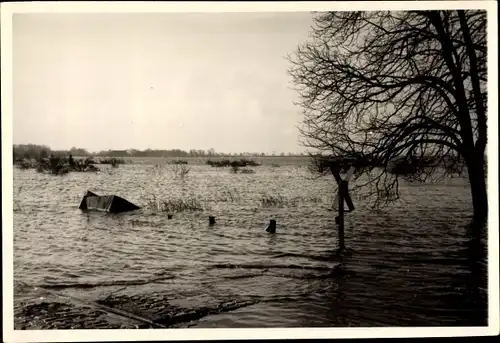 Foto Ak Uetersen in Schleswig Holstein, Große Flut, 1962, Kleingartenkolonie am Stadtbahnhof