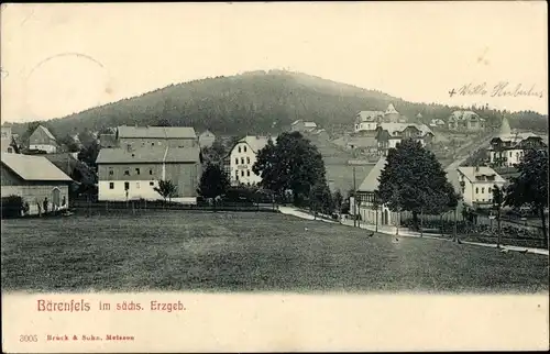 Ak Bärenfels Altenberg im Erzgebirge, Blick auf den Ort