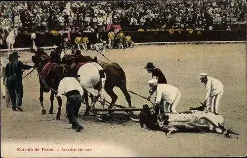 Ak Stierkampf, Corrida de Toros, Arrastre del toro